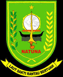 Logo Dinkes Natuna